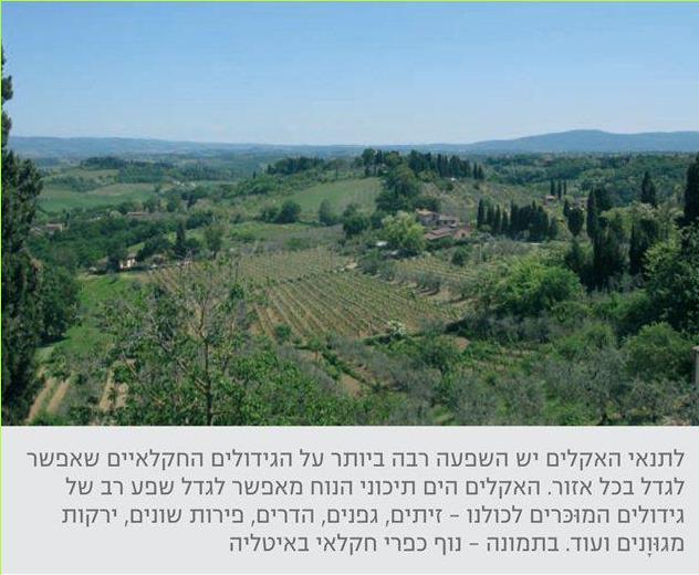 לתנאי האקלים יש השפעה רבה ביותר על הגידולים החקלאיים שאפשר לגדל בכל אזור. האקלים הים תיכוני הנוח מאפשר לגדל שפע רב של גידולים המוכרים לכולנו – זיתים, גפנים, הדרים, פירות שונים, ירקות מגוונים ועוד. בתמונה – נוף כפרי חקלאי באיטליה
